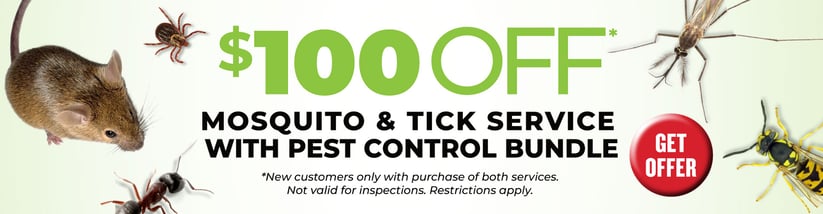 DESKTOP_VIKING_WEB_BANNER_2026 1