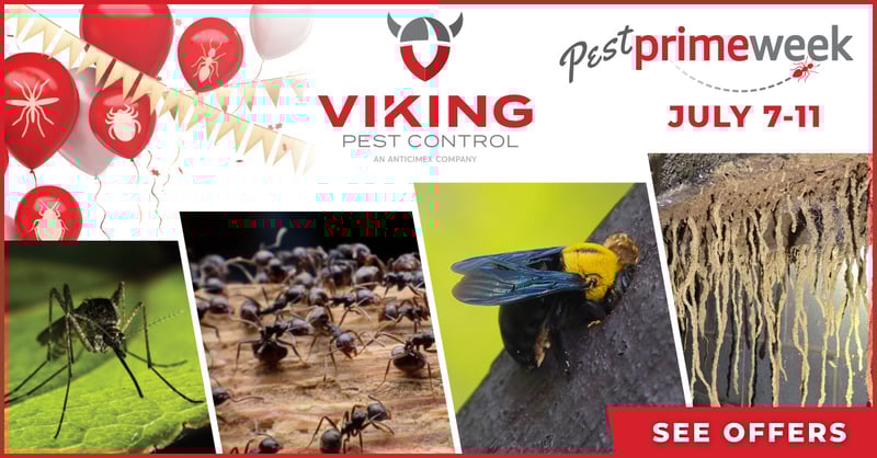 Pest Prime Week Savings 2025