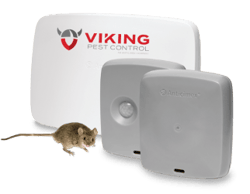 SMART Eco-Friendly Rodent Control