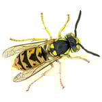 Wasp-Exterminator