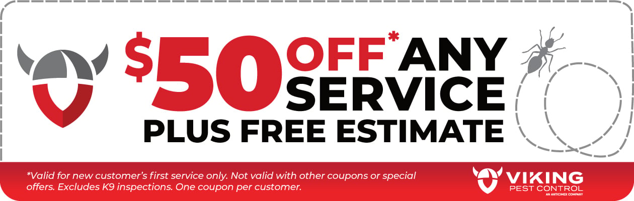 Save BIG on Pest Control with Viking Pest Save BIG on Pest Control with Viking Pest